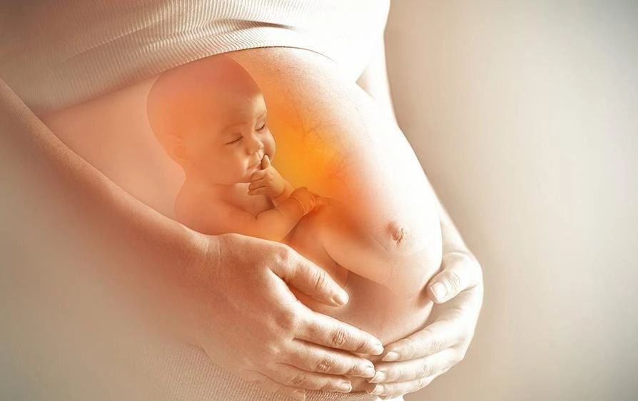 Ba tháng đầu tiên là giai đoạn vô cùng nhạy cảm và quan trọng