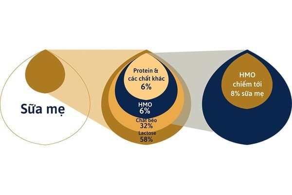 HMO có trong sữa mẹ như thế nào